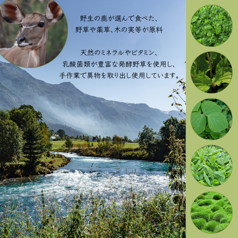 KAGUSA-HPP 鹿草-HPP フレッシュタイプ