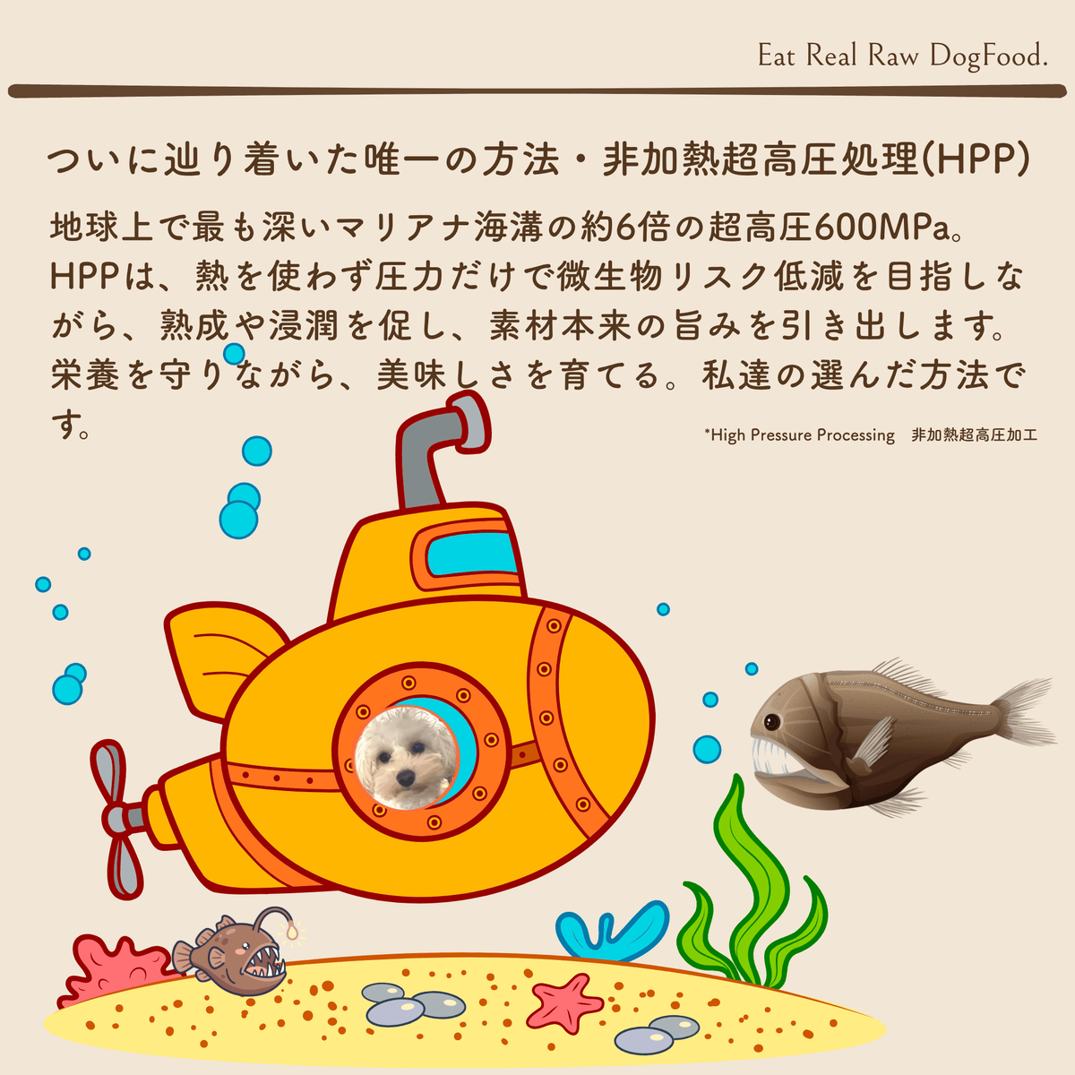 KAGUSA-HPP 鹿草-HPP フレッシュタイプ