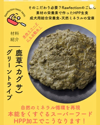 鹿草（カグサ）グリーントライプ 材料紹介